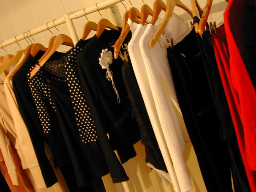 Clothing hung-up in a closet